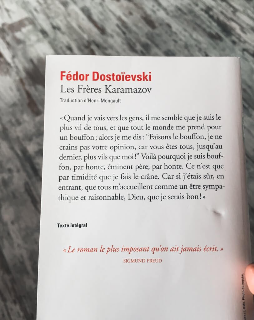 A picture of my The Brothers Karamazov edition - verso (in french)